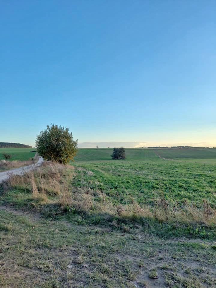 Działka budowlana na sprzedaż Harkawicze  1 400m2 Foto 2