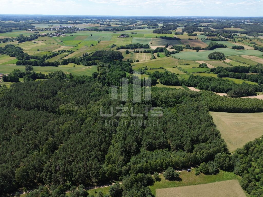 Działka leśna na sprzedaż Wysin  21 500m2 Foto 4