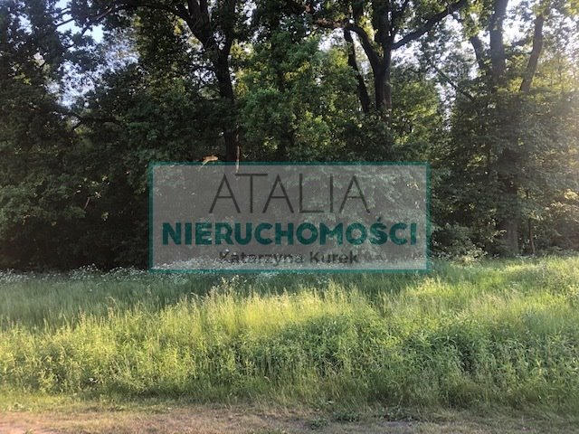 Działka 1500 m² z mediami, las i spokój - zapraszam Adamowizna  1 514m2 Foto 1