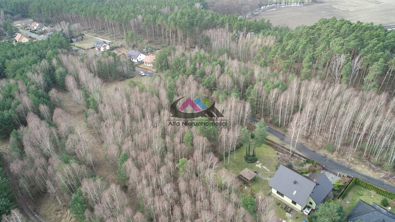 Działka 764 m² pod dom jednorodzinny, las, utwardzona - polecam Skórka  764m2 Foto 1