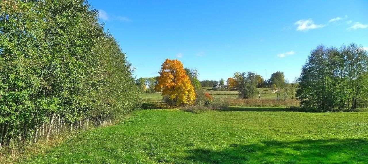 Działka rolna na sprzedaż Filipów  1 550m2 Foto 12