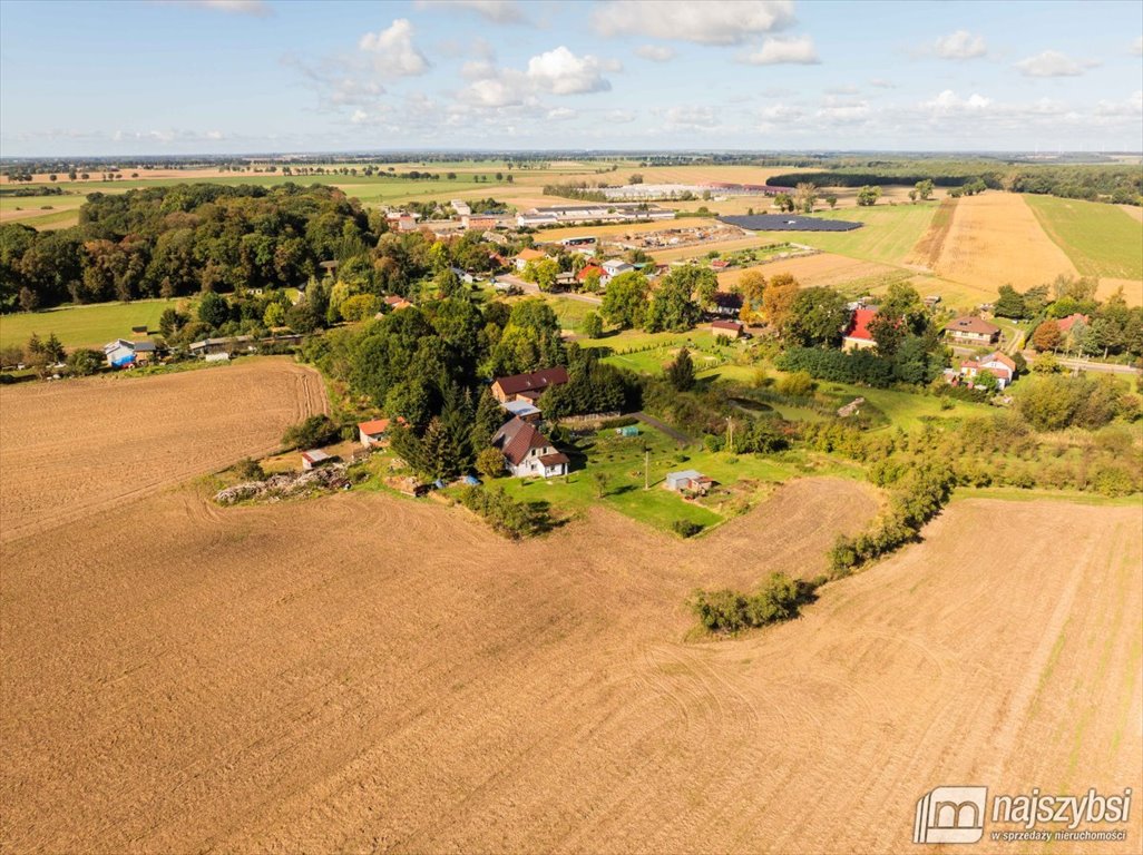 Dom na sprzedaż Bralęcin  4 200m2 Foto 4