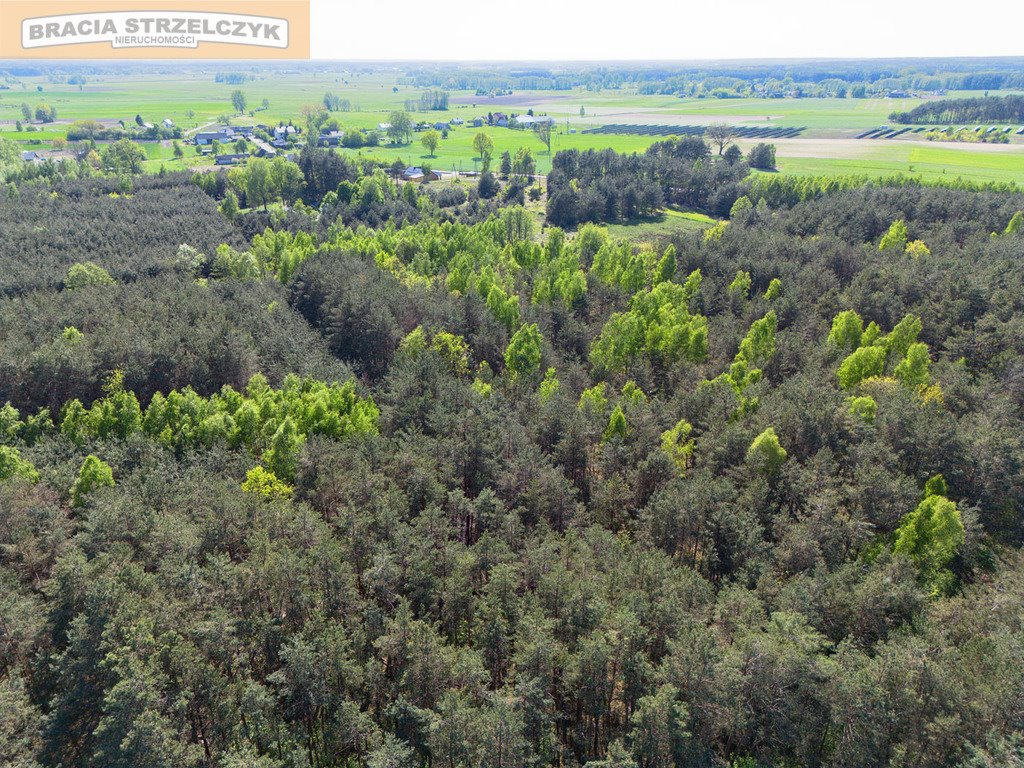 Działka budowlana na sprzedaż Mroczki-Rębiszewo  23 500m2 Foto 3