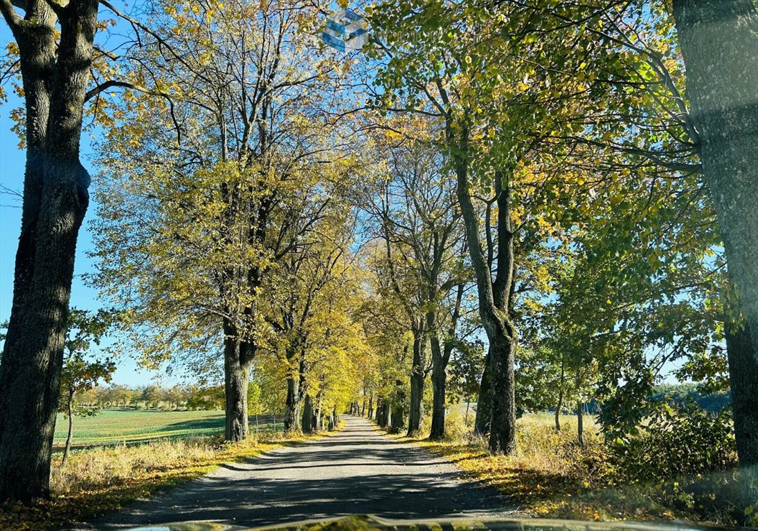 Dom na sprzedaż Budwity, Budyty  80m2 Foto 7