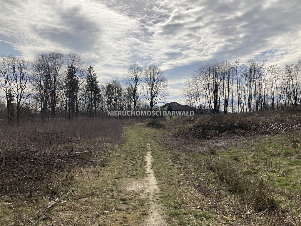 Działka budowlana na sprzedaż Kalwaria Zebrzydowska  16 000m2 Foto 5