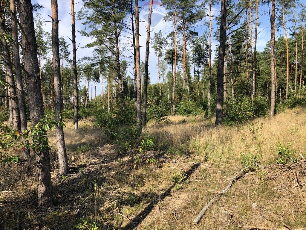 Działka budowlana na sprzedaż Wygoda  3 412m2 Foto 3