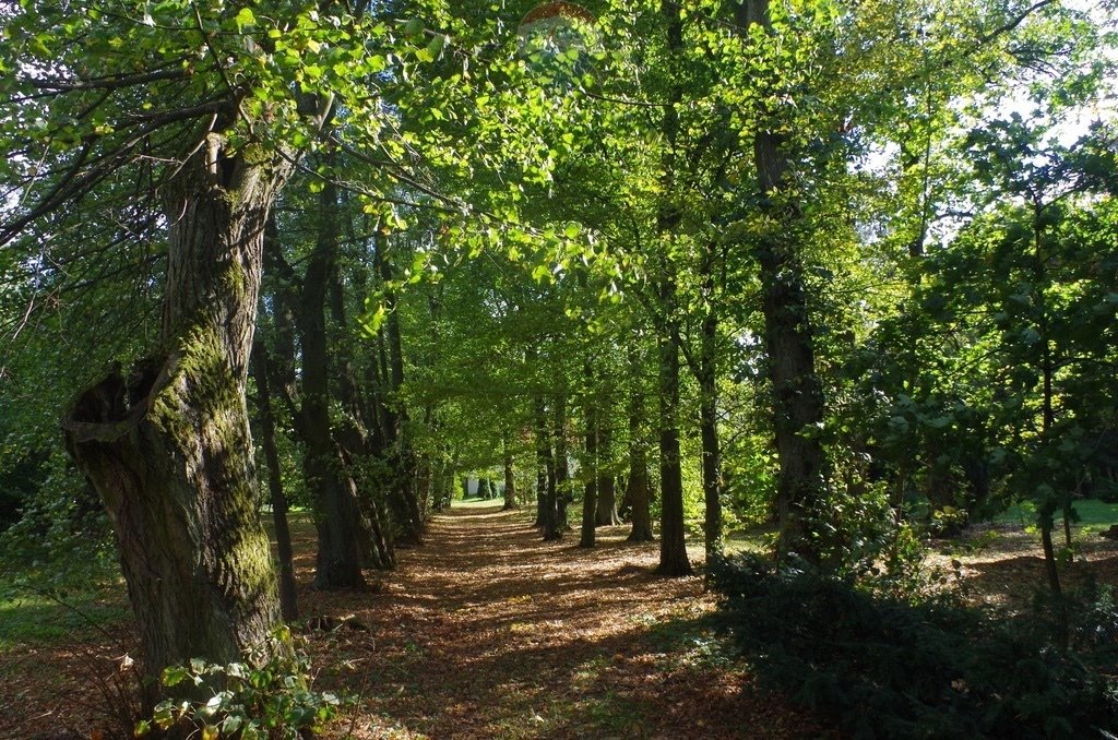 Lokal użytkowy na sprzedaż Kolonia Paplin  1 020m2 Foto 19