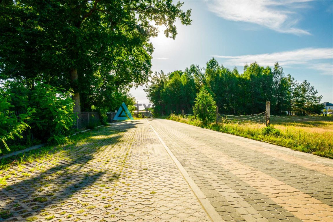 Działka siedliskowa na sprzedaż Rokity  10 001m2 Foto 11