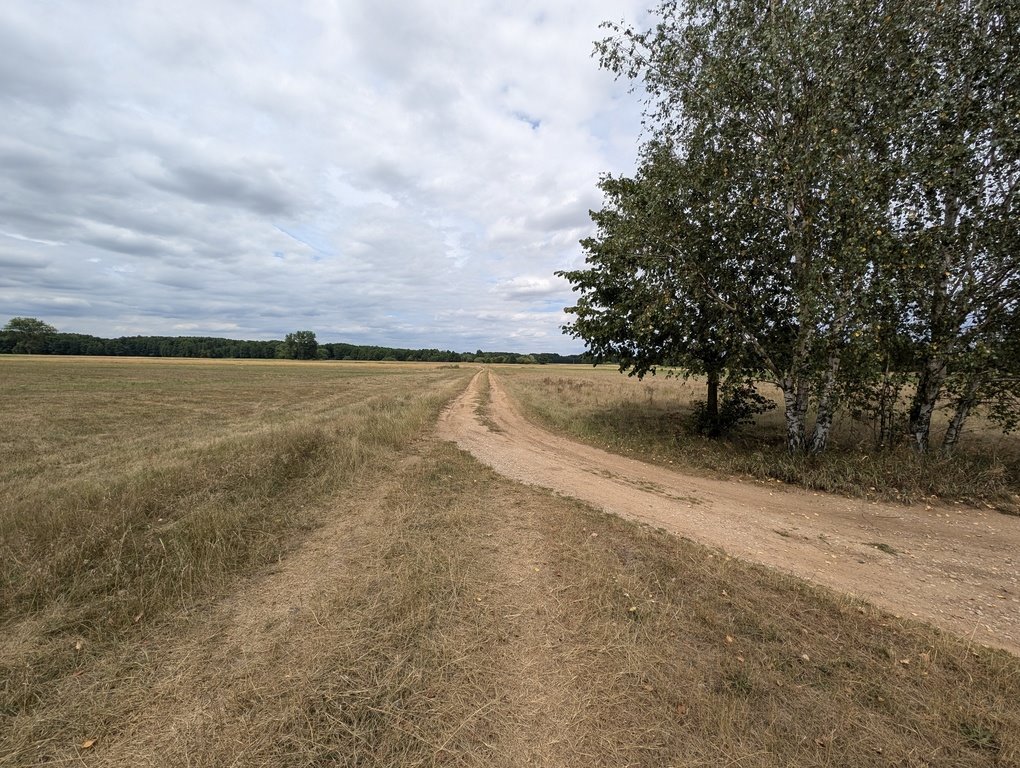 Działka rolna na sprzedaż Roszkowa Wola  15 400m2 Foto 4