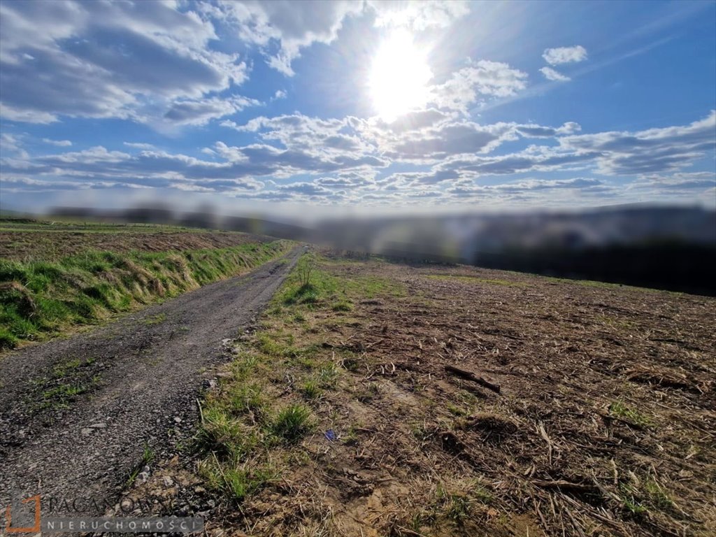 Działka budowlana na sprzedaż Bibice  1 099m2 Foto 1