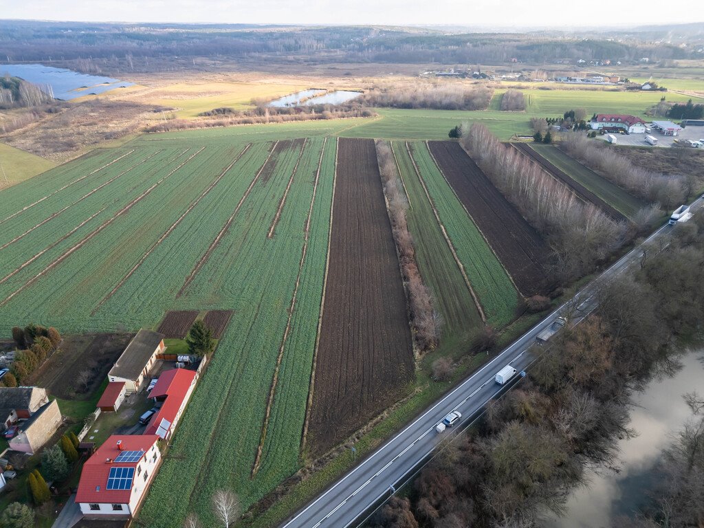 Działka komercyjna na sprzedaż Kunów, Ostrowiecka  7 675m2 Foto 11