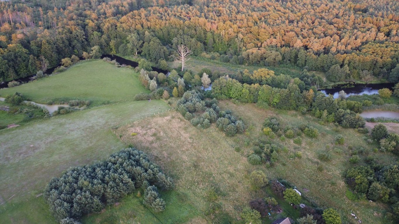 Działka budowlana na sprzedaż Charnowo  4 500m2 Foto 4