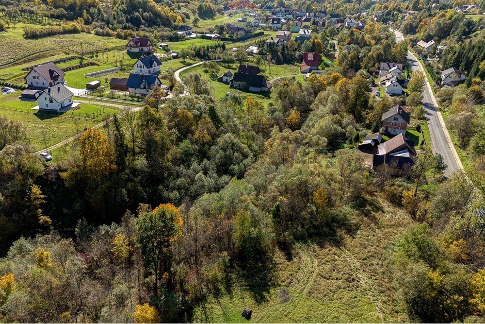 Działka budowlana na sprzedaż Kamienica  6 100m2 Foto 7