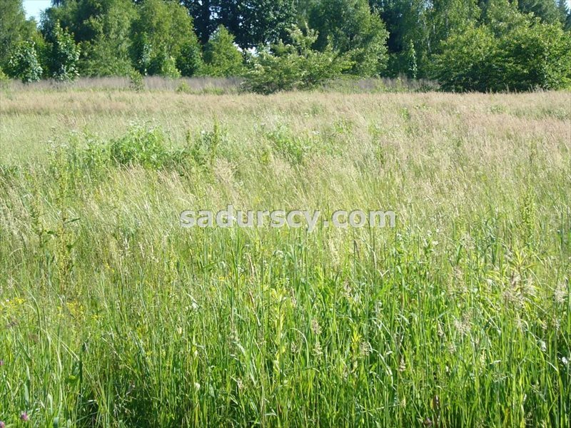Działka inwestycyjna na sprzedaż Józefosław 2 538m2 Foto 1 Działka inwestycyjna na sprzedaż Józefosław 2 538m2 Foto 1