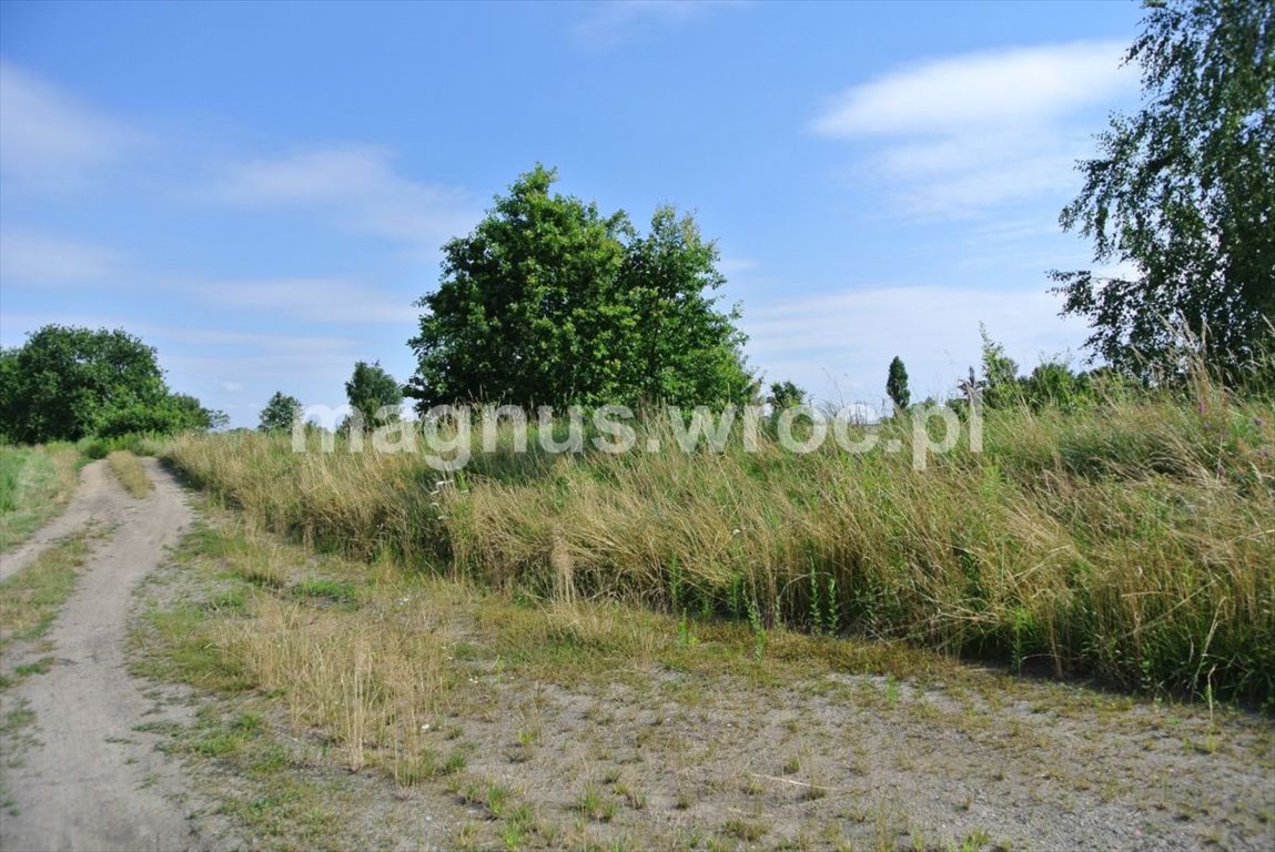 Działka rolna na sprzedaż Wrocław, Psie Pole, Kowale, boczna Lechitów  4 032m2 Foto 6