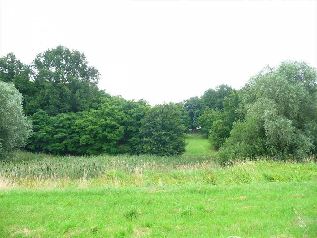 Lokal użytkowy na sprzedaż Przytok  22 600m2 Foto 1