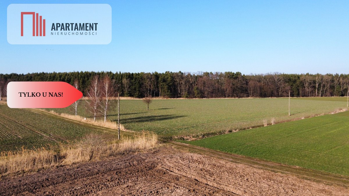 Działka siedliskowa na sprzedaż Masłowiec  11 800m2 Foto 2