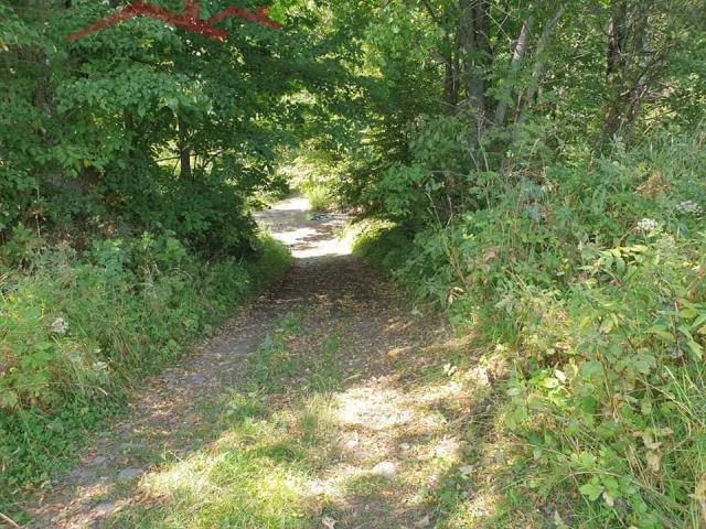Działka 13 000 m² w Cisnej – spokój i natura Cisna  13 000m2 Foto 1