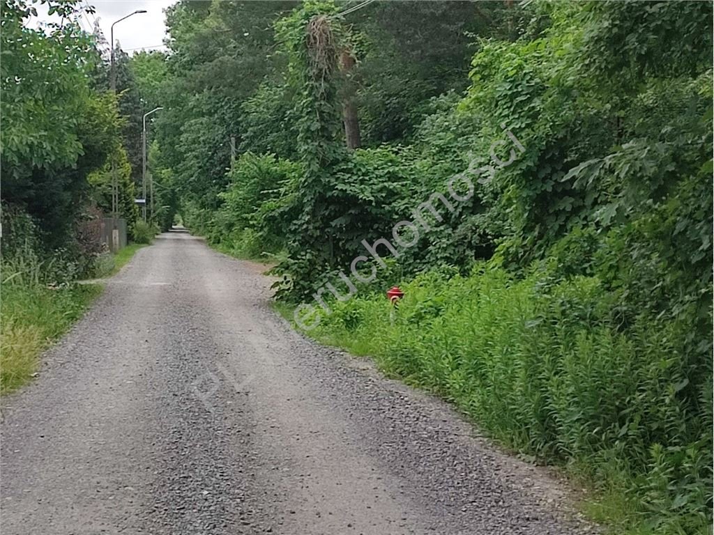 Działka budowlana na sprzedaż Jastrzębie  1 901m2 Foto 3