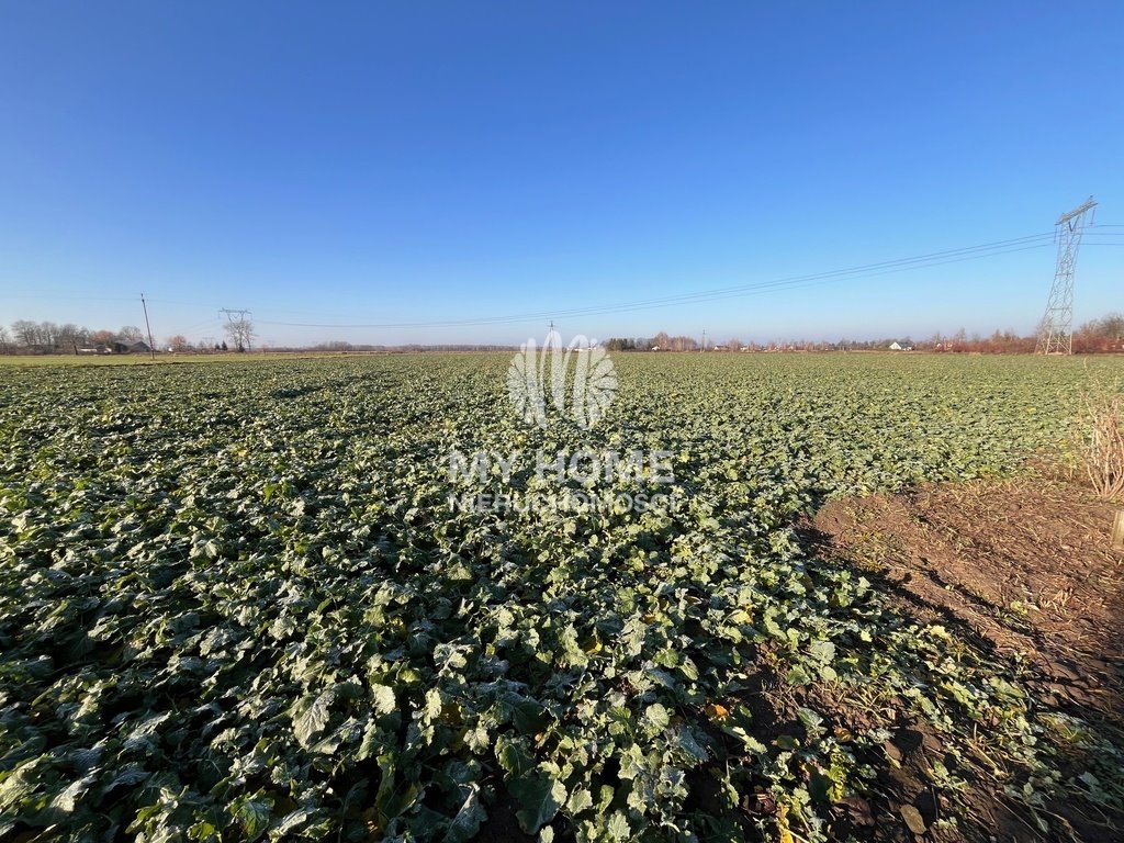 Działka rolna na sprzedaż Baranów  31 900m2 Foto 1