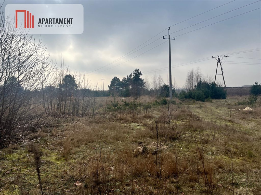 Działka budowlana na sprzedaż Wolwark  770m2 Foto 5