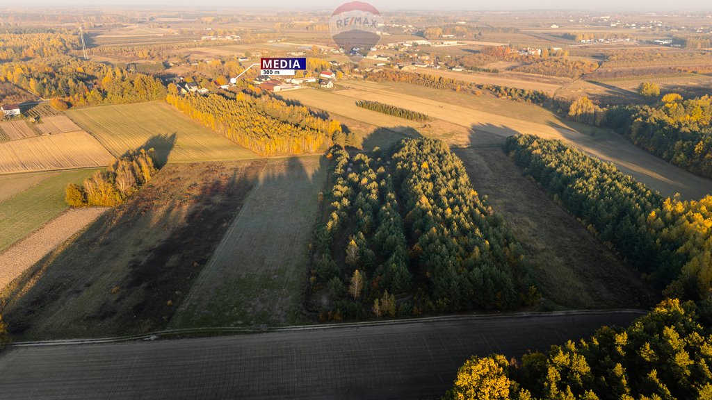 Działka budowlana na sprzedaż Karolew  11 200m2 Foto 4