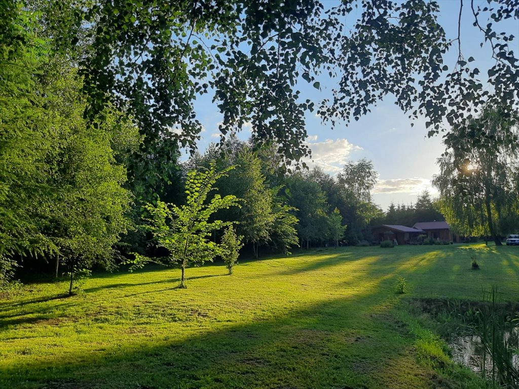 Działka budowlana na sprzedaż Iława, Iława, Starzykowo  11 561m2 Foto 8