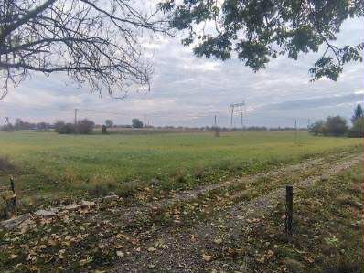 Działki pod zabudowę w Tryńczy, 37 ar, media w drodze Tryńcza  3 700m2 Foto 1
