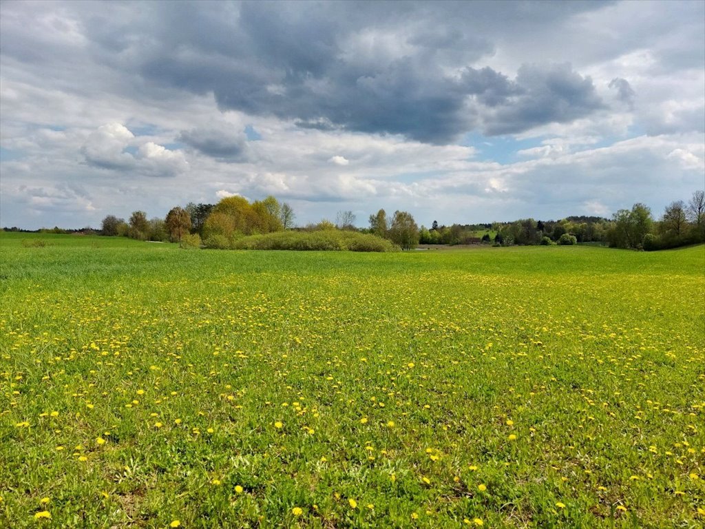 Działka rolna na sprzedaż Jeziorko, Jeziorko  3 018m2 Foto 8