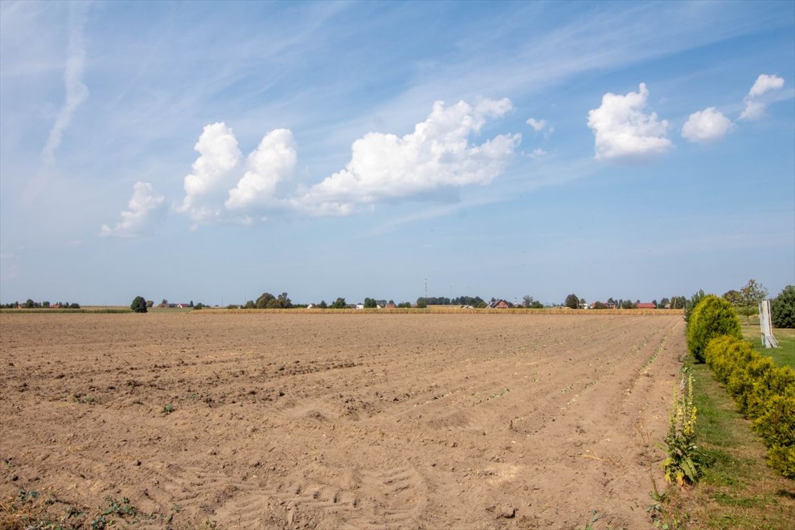 Działka przemysłowo-handlowa na sprzedaż Ciasna, Nowy Dwór  5 093m2 Foto 4