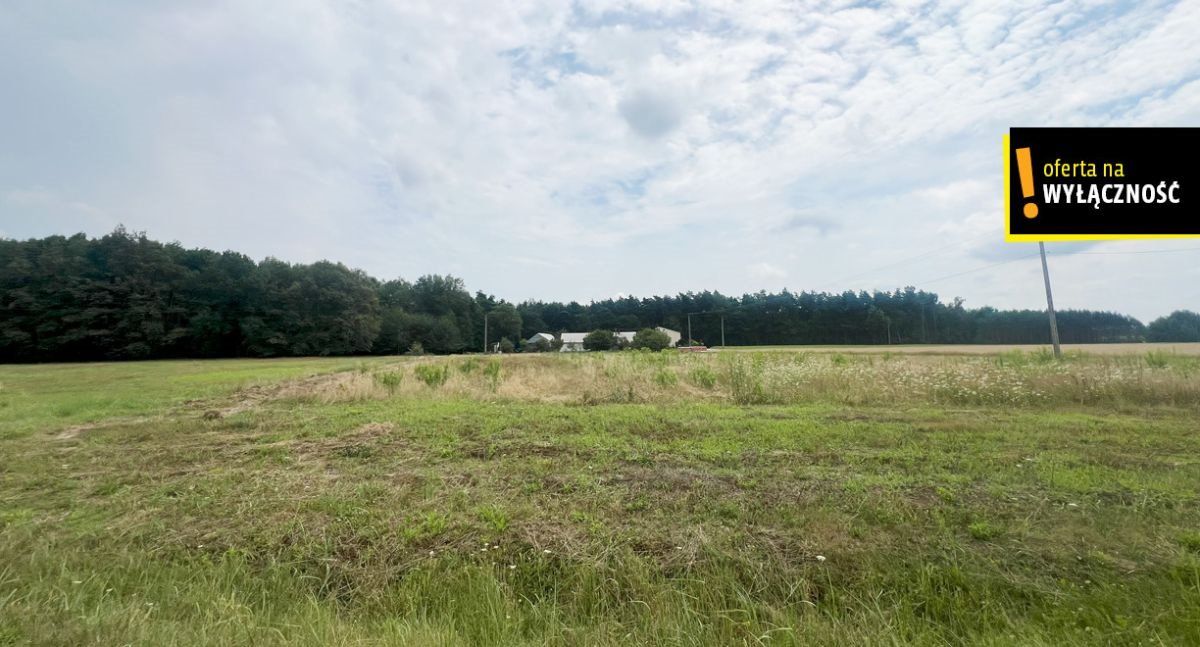 Działka budowlana na sprzedaż Oksa, Leśna  7 400m2 Foto 7