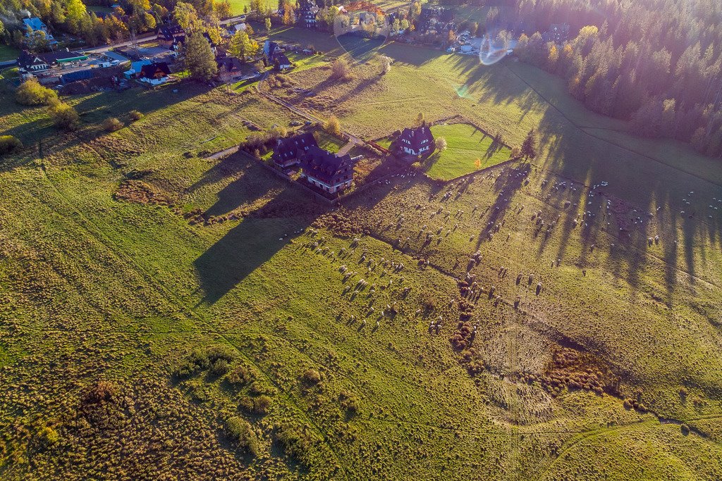 Działka rolna na sprzedaż Kościelisko  2 957m2 Foto 13