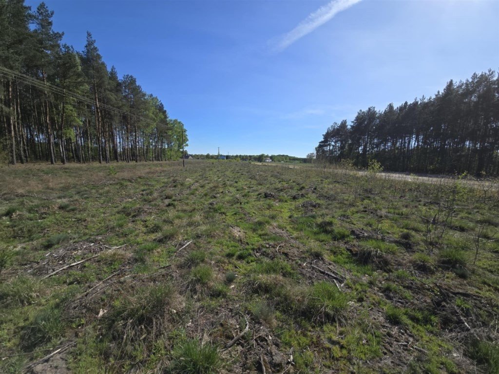 Działka 3 000 m² z WZ, lasy, media, Słubice Słubice  3 000m2 Foto 1