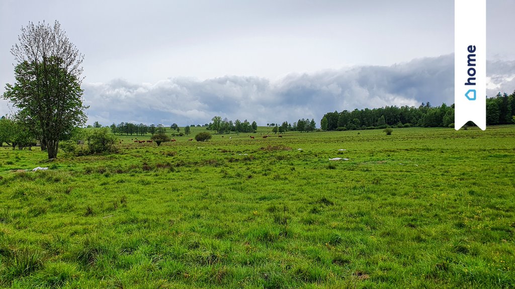 Do sprzedania dwie działki budowlane w Lesicy z możliwością usług Międzylesie  2 280m2 Foto 1