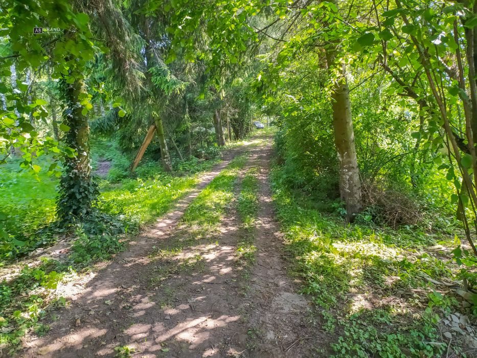 Działka inna na sprzedaż Barszczówka  36 300m2 Foto 5