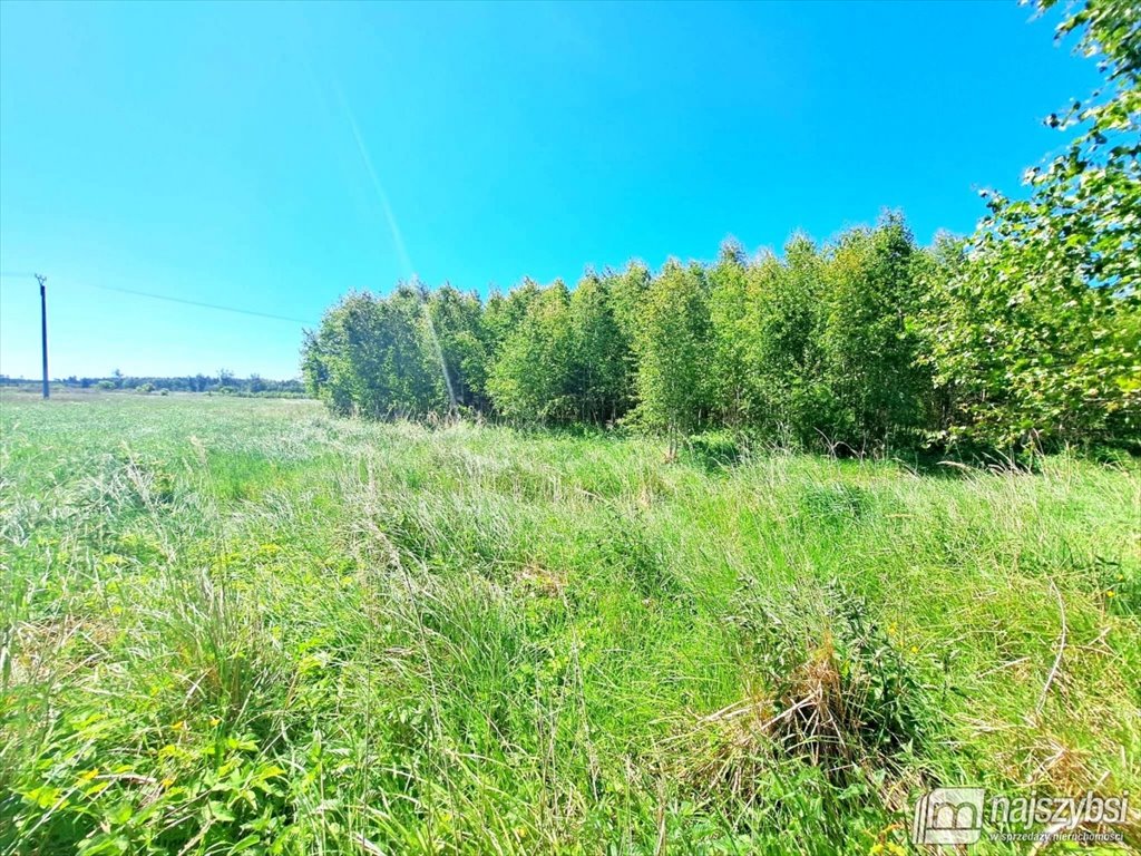 Działka rolna na sprzedaż Nowogard, obrzeża  10 100m2 Foto 2