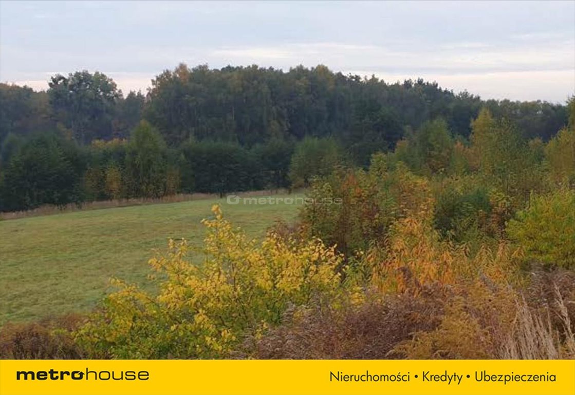 Działka inna na sprzedaż Gruszczyn  35 000m2 Foto 2