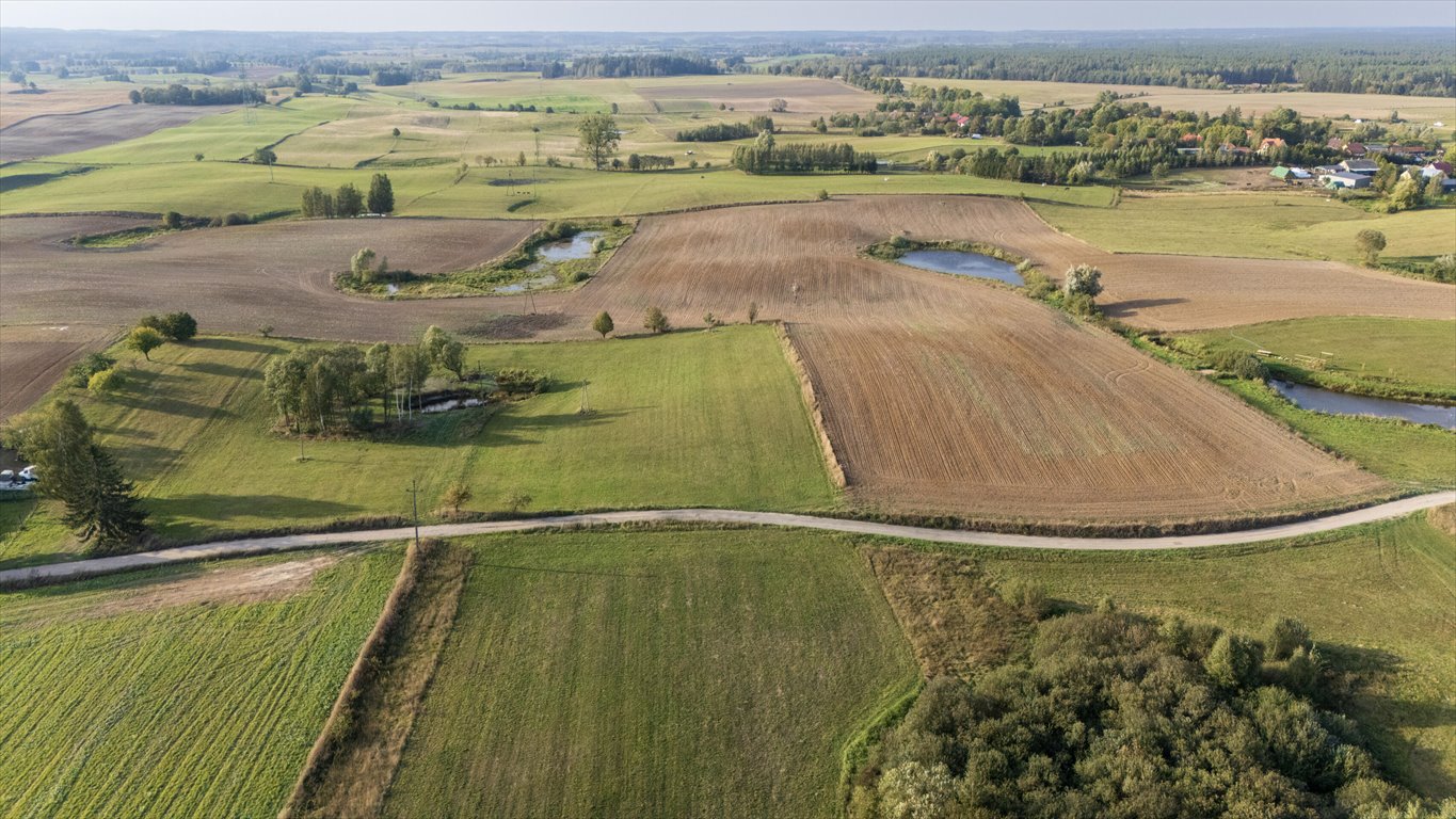 Działka rolna na sprzedaż Olszewki  13 200m2 Foto 7