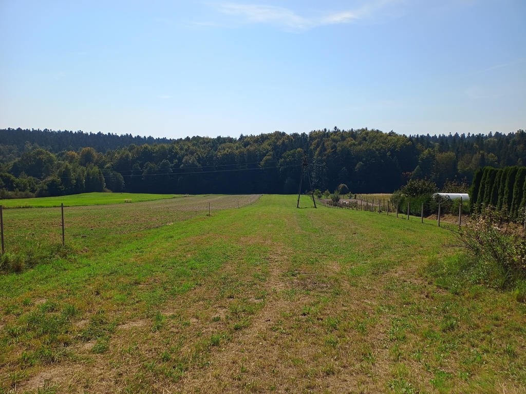 Działka budowlana na sprzedaż Trzcianka  5 000m2 Foto 1