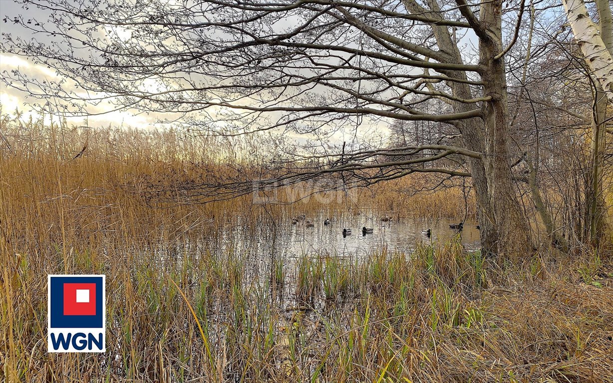 Mieszkanie dwupokojowe na sprzedaż Choszczno, Centrum, Centrum  46m2 Foto 15