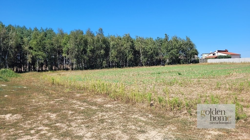 Działka budowlana na sprzedaż Fałkowo, Pod lasem  1 201m2 Foto 10