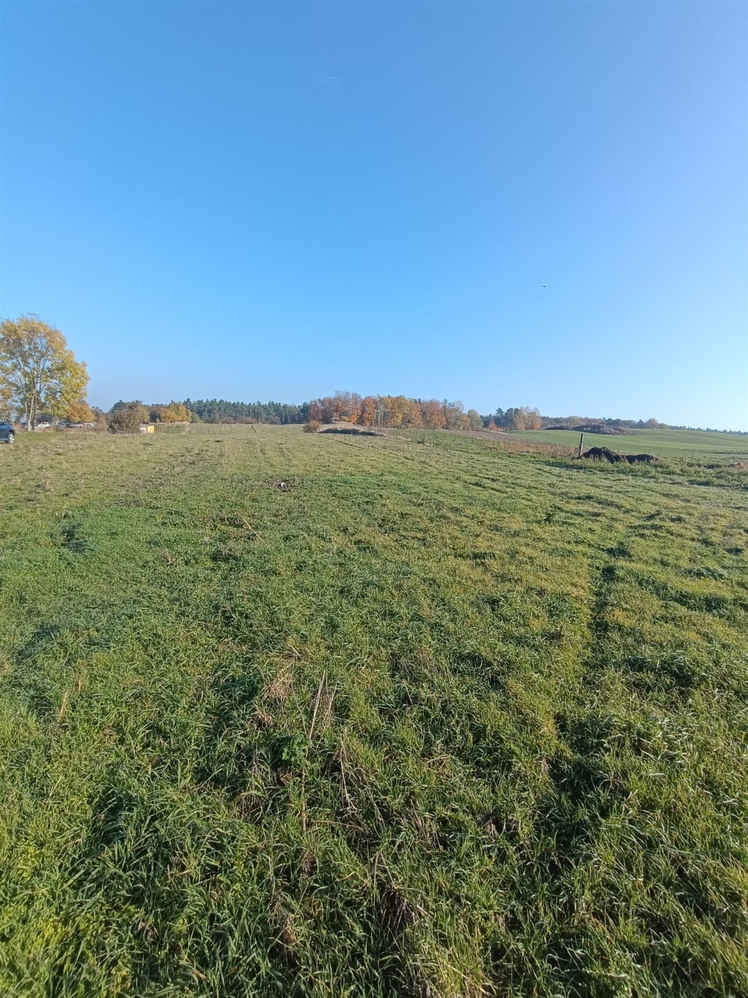 Działka rolna na sprzedaż Młyny  2 000m2 Foto 3