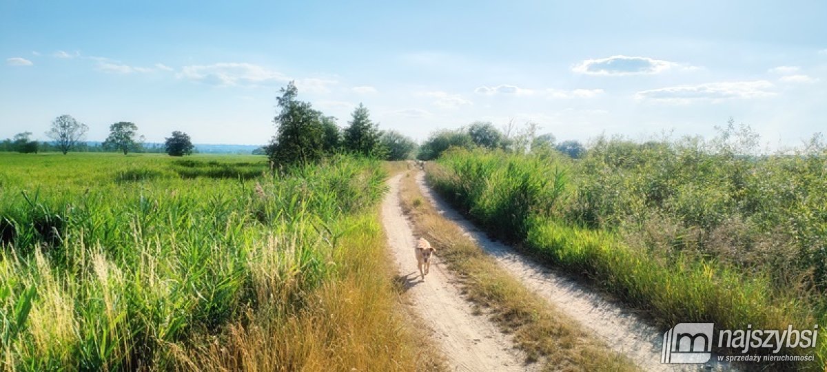 Działka rolna na sprzedaż Komarowo  59 143m2 Foto 19