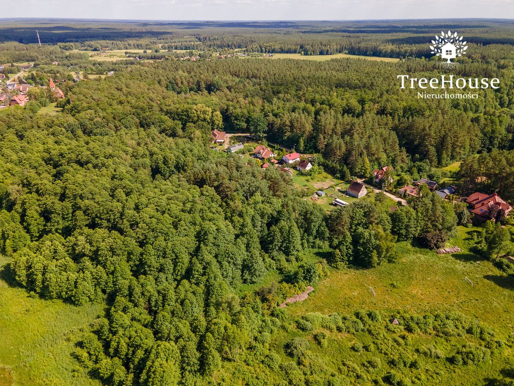 Działka budowlana na sprzedaż Spychowo, Leśna  4 300m2 Foto 12