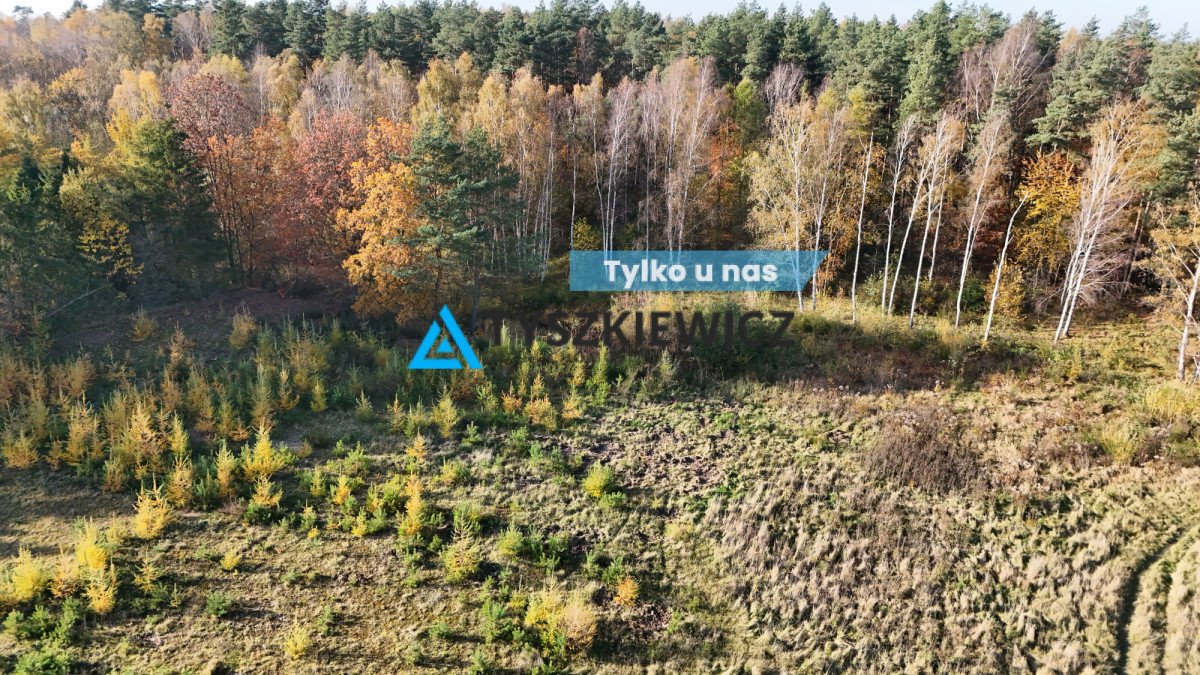 Działka budowlana na sprzedaż Otomin, Borówkowa  6 772m2 Foto 1