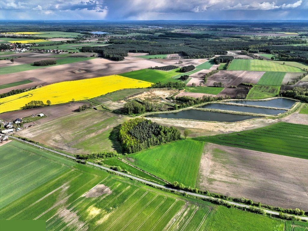 Działka inwestycyjna na sprzedaż Wziąchowo Małe  130 892m2 Foto 6