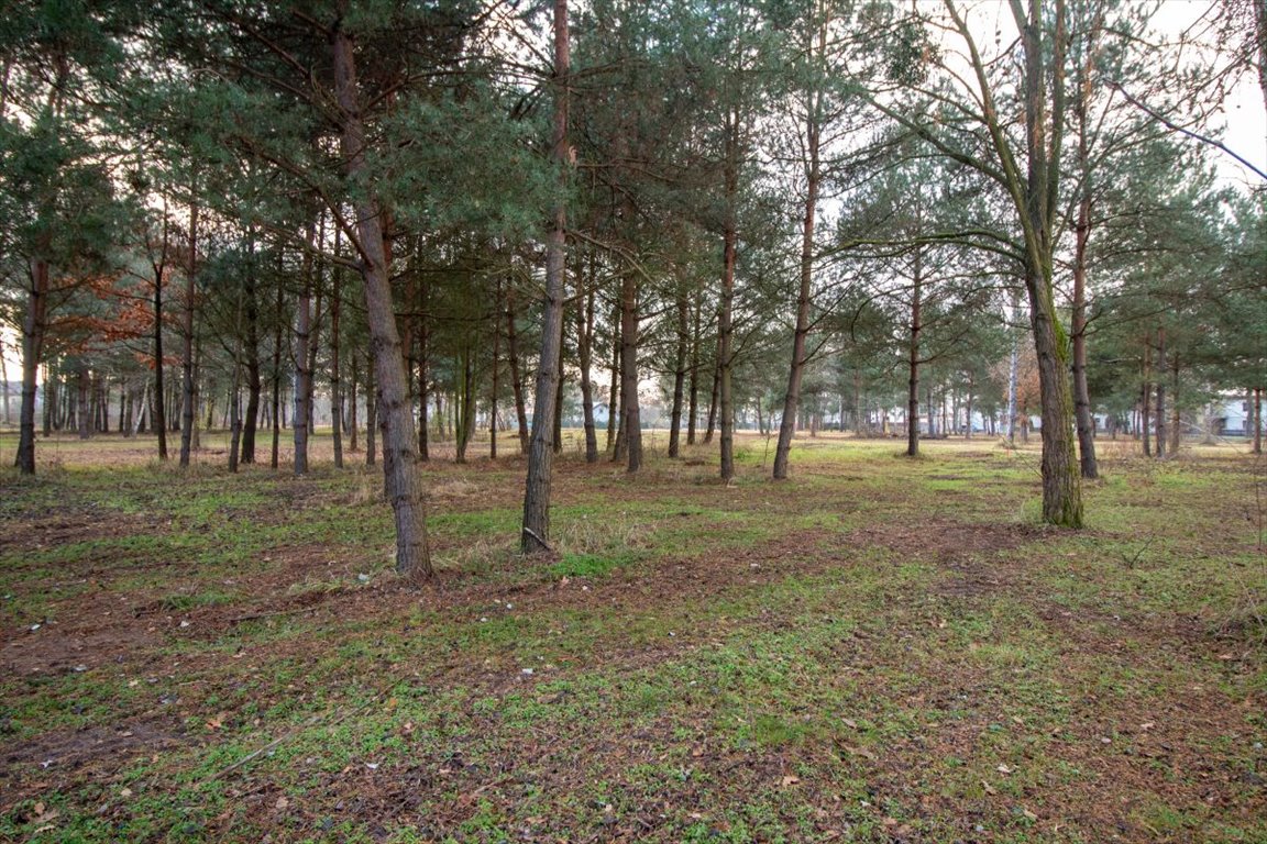 Działka budowlana na sprzedaż Koszęcin, Słowików  506m2 Foto 9