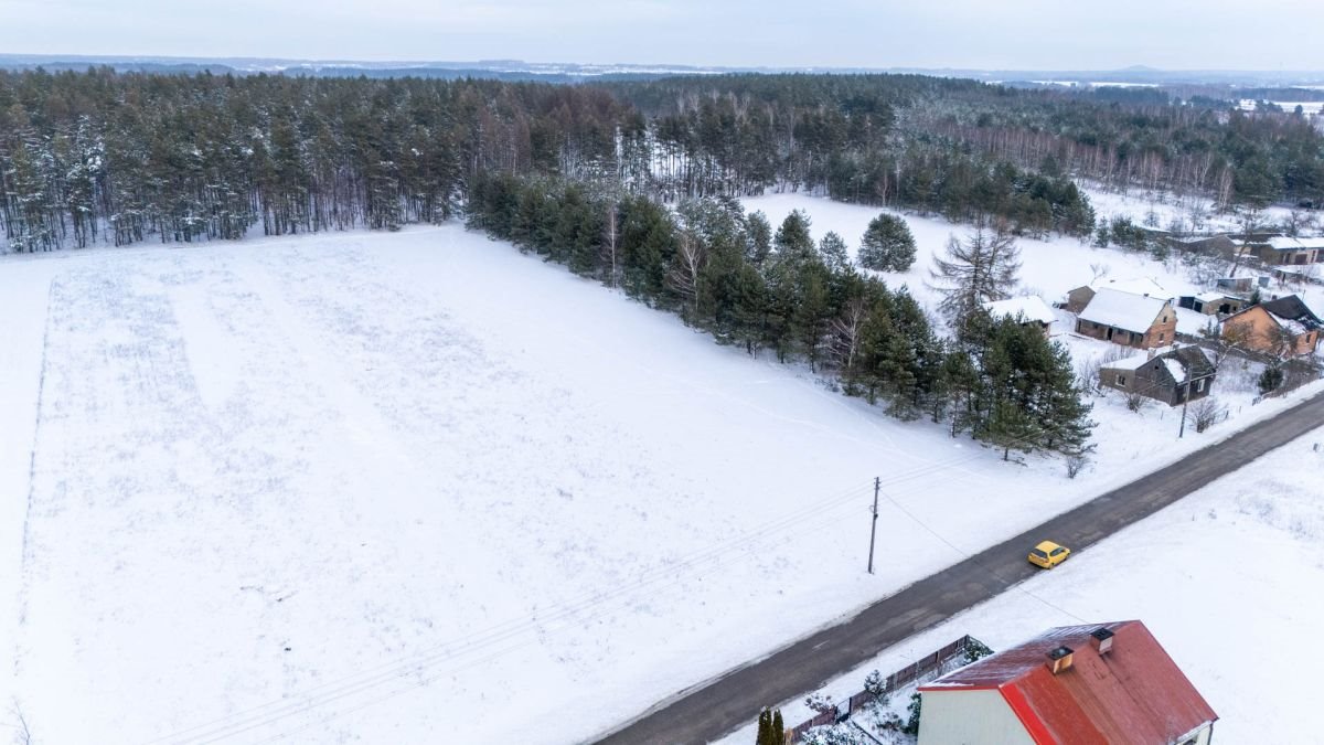 Działka budowlana na sprzedaż Koski Pierwsze  3 754m2 Foto 2