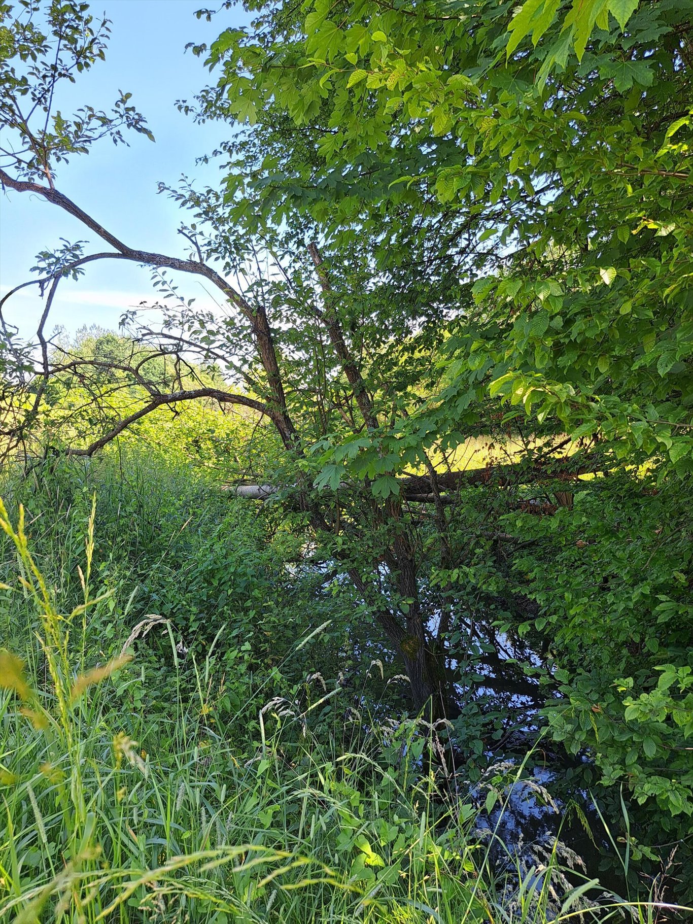 Dom na sprzedaż Glinik Średni  95m2 Foto 5