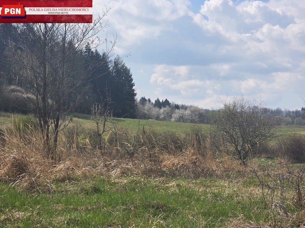 Działka 1456 m² z widokiem na las i strumyk, inwestycja Stary Wielisław  1 456m2 Foto 1